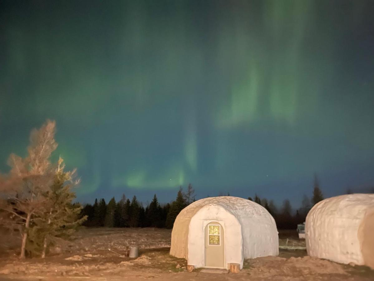 North Adventure Inn Cochrane Екстериор снимка