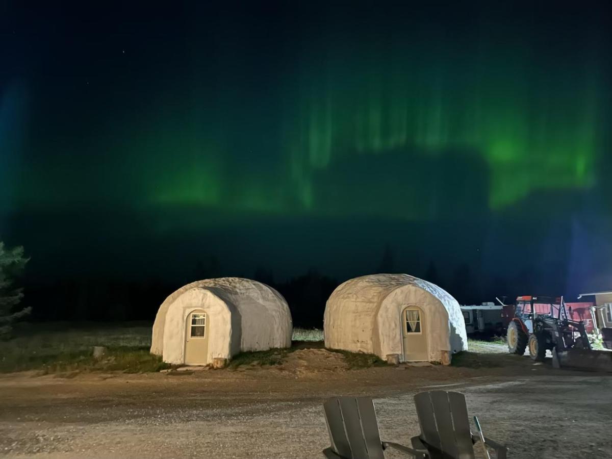 North Adventure Inn Cochrane Екстериор снимка