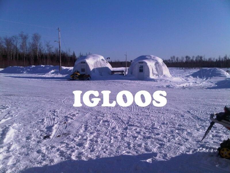 North Adventure Inn Cochrane Стая снимка