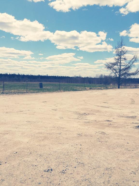 North Adventure Inn Cochrane Екстериор снимка