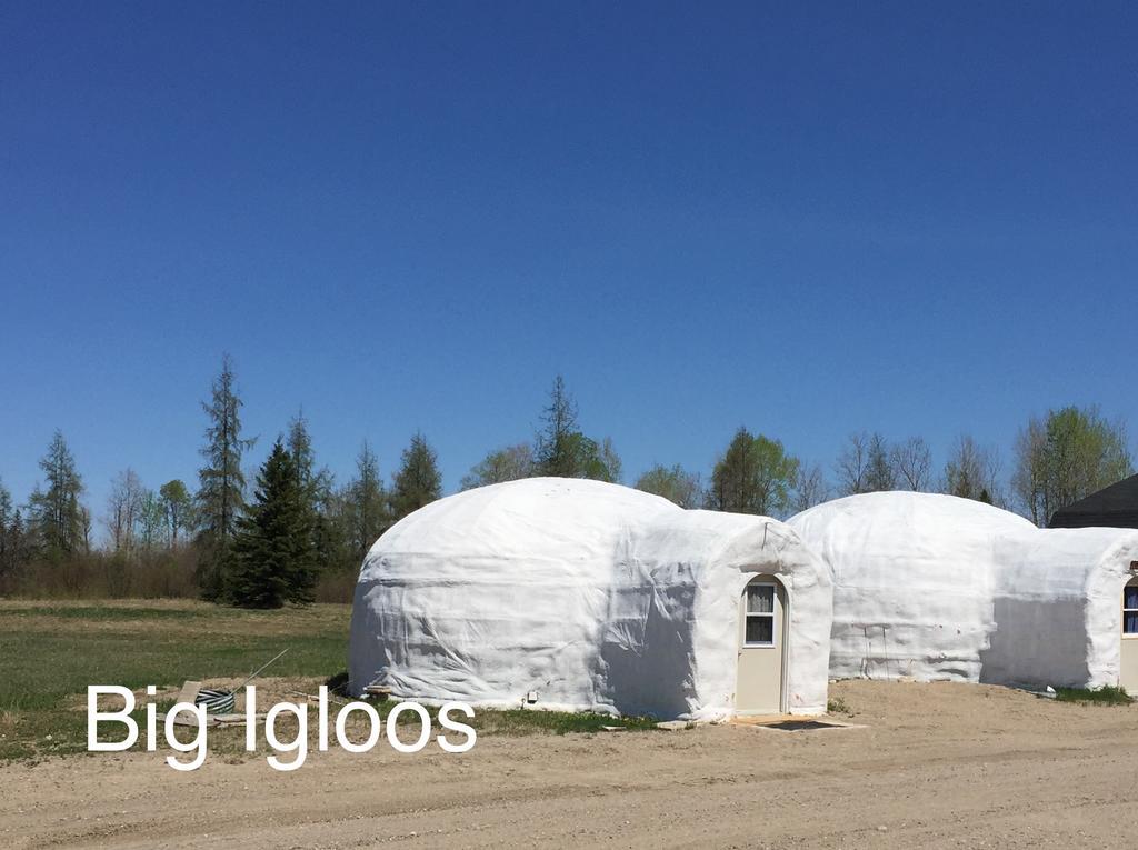 North Adventure Inn Cochrane Екстериор снимка