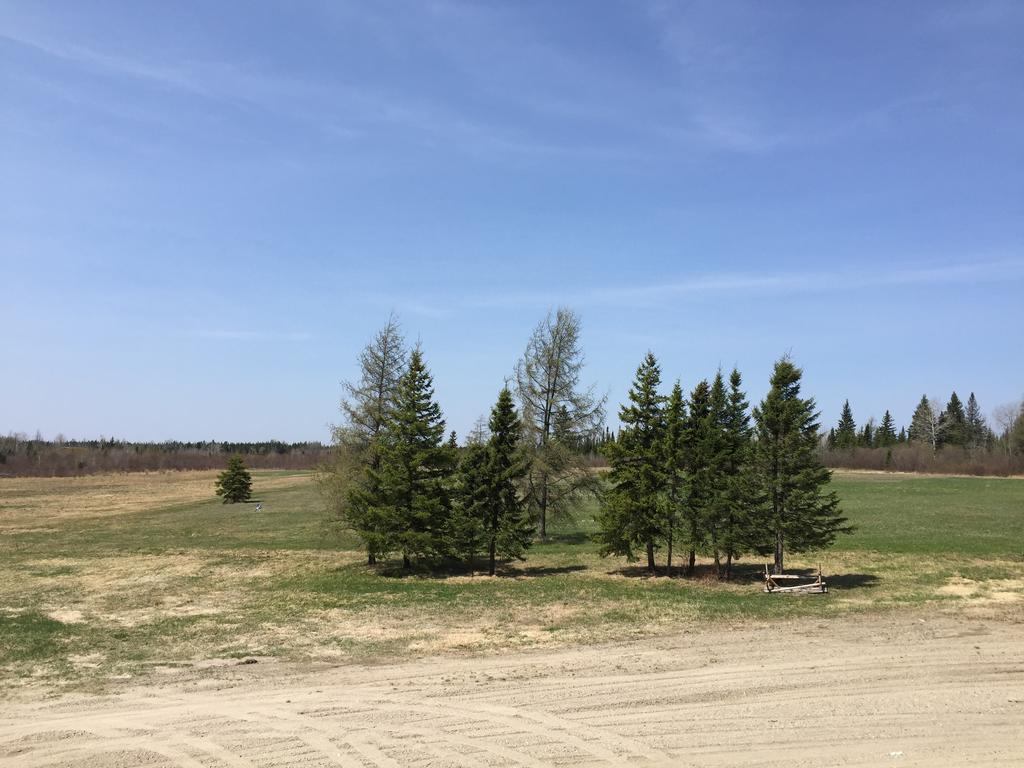 North Adventure Inn Cochrane Екстериор снимка