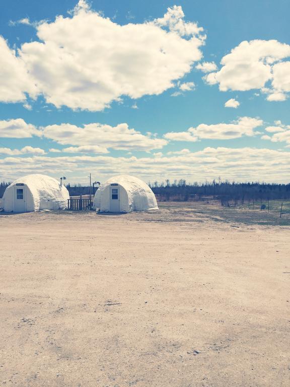 North Adventure Inn Cochrane Стая снимка